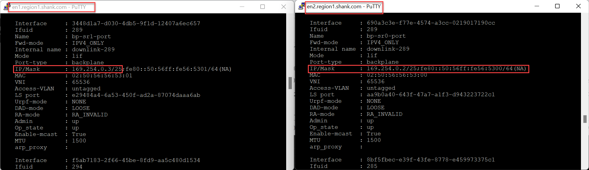 VMware NSX Edge node backplane port failback