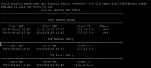 VMware NSX TEP HA; Better Dataplane Resiliency? – LAB2PROD