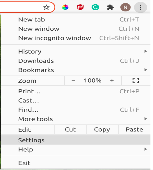 Go to settings in Google Chrome Browser