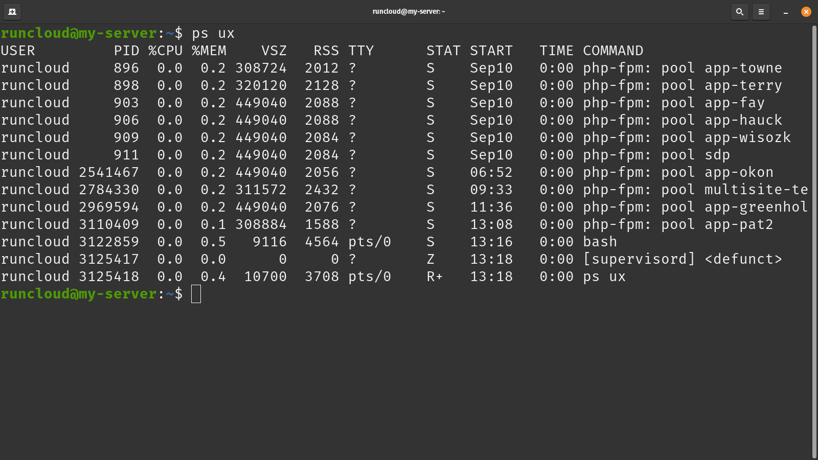 check running process in Linux using ps command