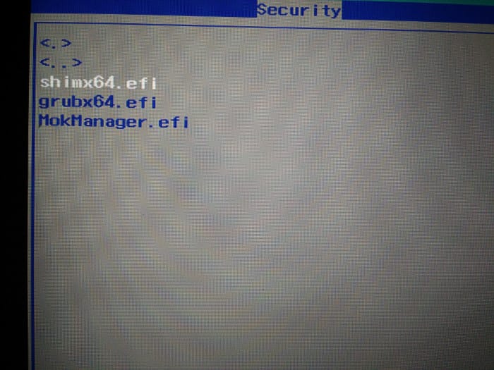 a screenshot for shimx64.efi in boot menu