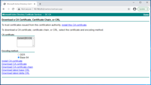 NSX-T 3.x Certificate Replacement Series – Part2: Request and Issue Certificates