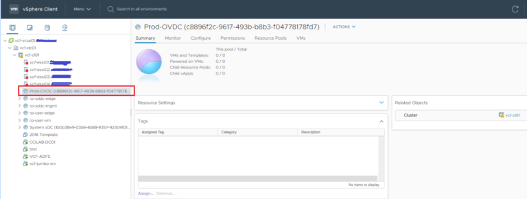 VMware Cloud Director 10.x: Org and OrgVDC Creation