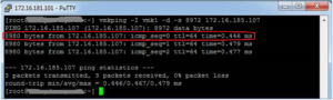 MTU Change on a vSphere Environment