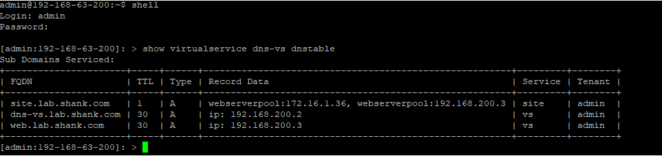 nsx-alb advanced load balancer gslb checking DNS virtual services for DNS records