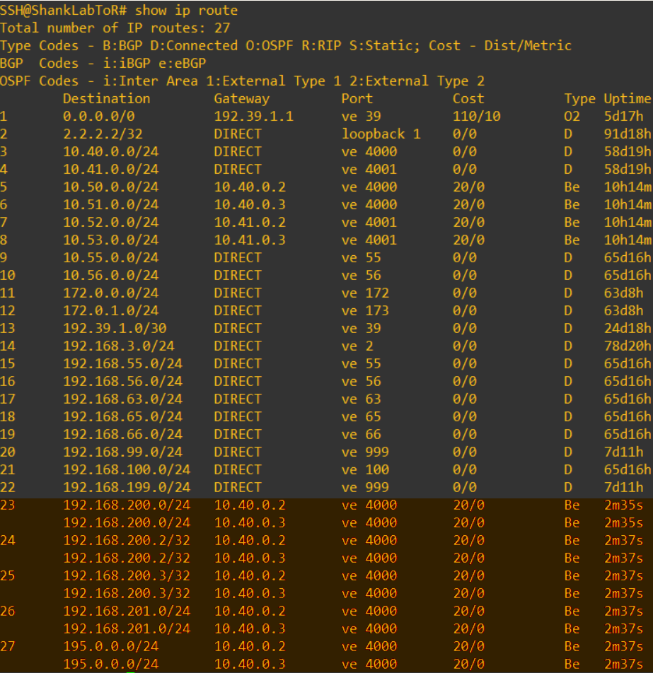 nsx-t ToR show ip route