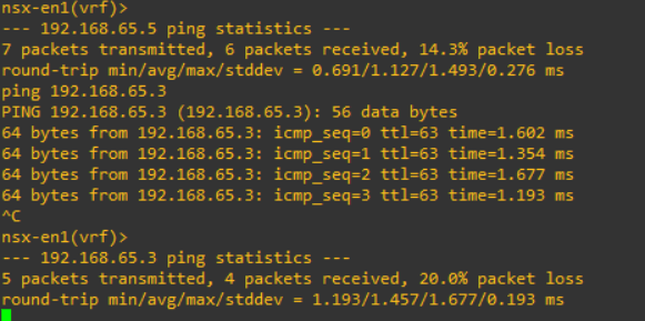 nsx-t edge node ping from edge to edge using tep ip