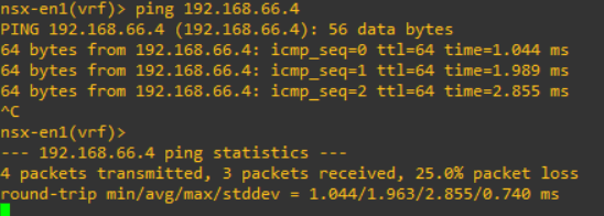 nsx-t edge tep ip ping