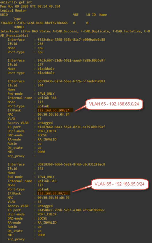 edge node vrf 0 get interfaces to show tep addresses