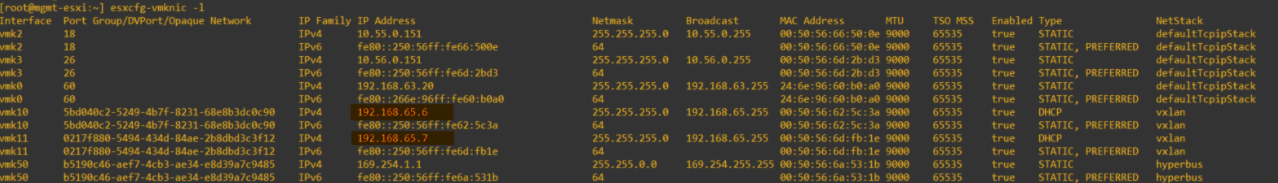 nsx management host esxcfg-vmknic -l showing host tep addresses and interfaces