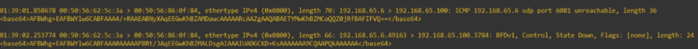 nsx-t edge node packet capture showing geneve tunnel bfd messages