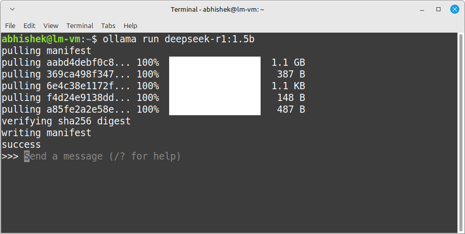 downloading and running deepseek r1 model with 1.5b parameters