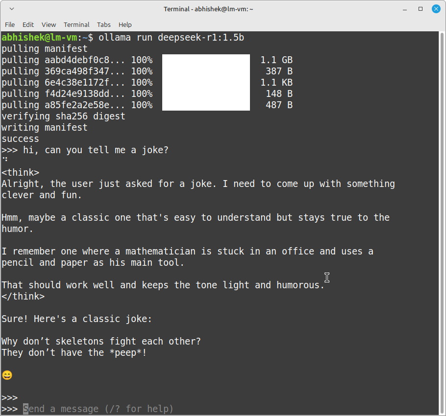 asking deepseek to write a joke in terminal