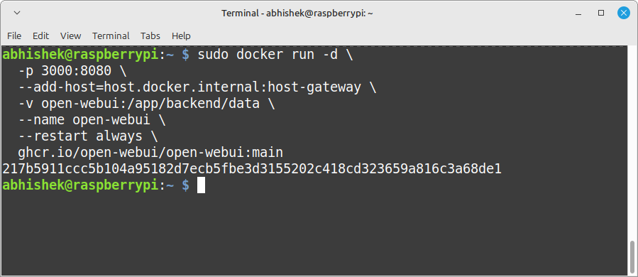 running open-webui docker container 