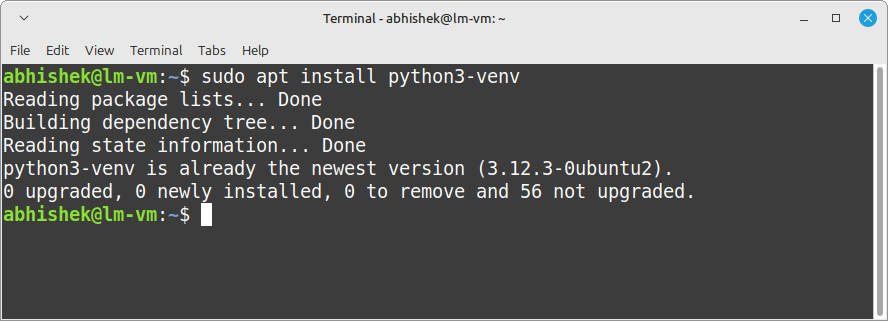 installing python virtual environment