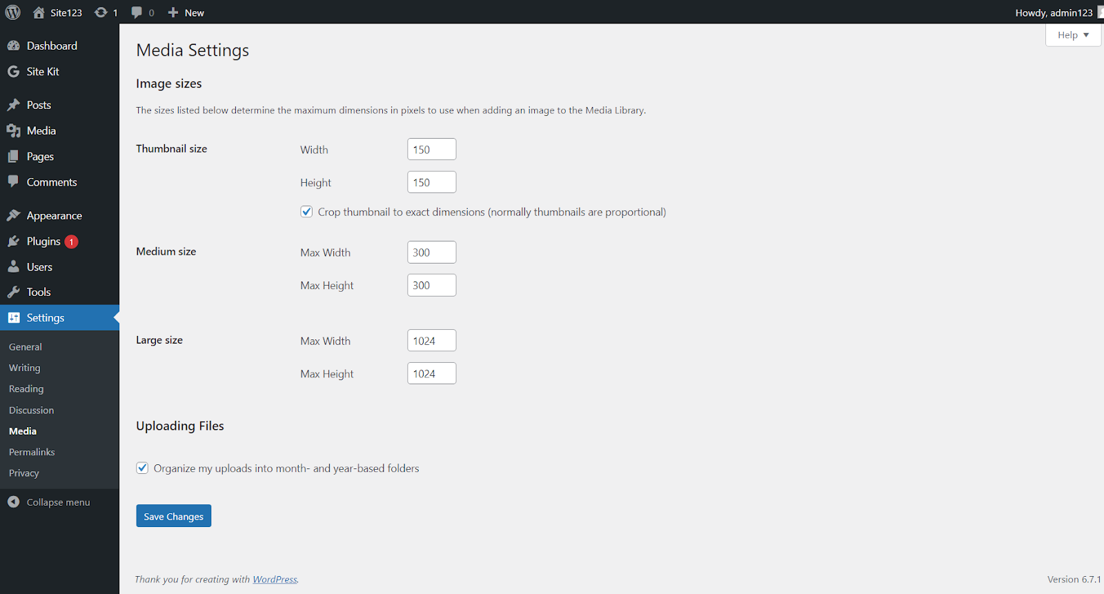 media image size in WordPress