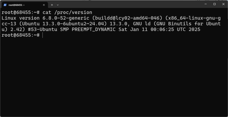 How to Check OS Version in Linux via Command Line