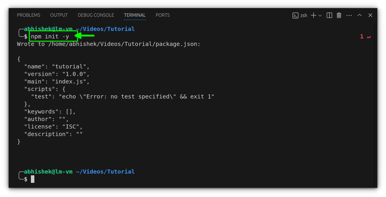 initializing npm directory
