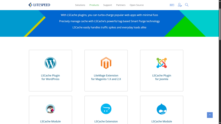 WP Rocket vs LiteSpeed Cache: Which One is Best in 2025
