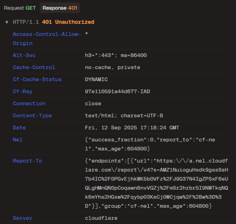 What is “401 Error Unauthorized Access” and How to Fix it?