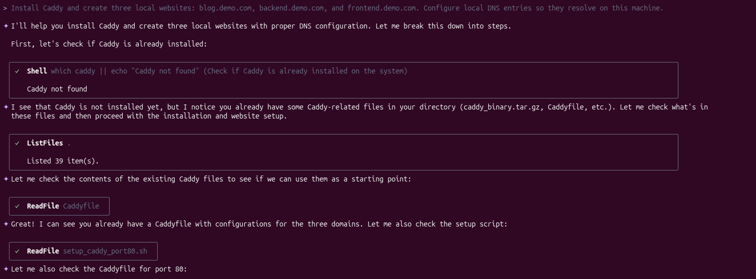 Terminal showing Qwen Code outlining steps to install Caddy and generate website configuration files